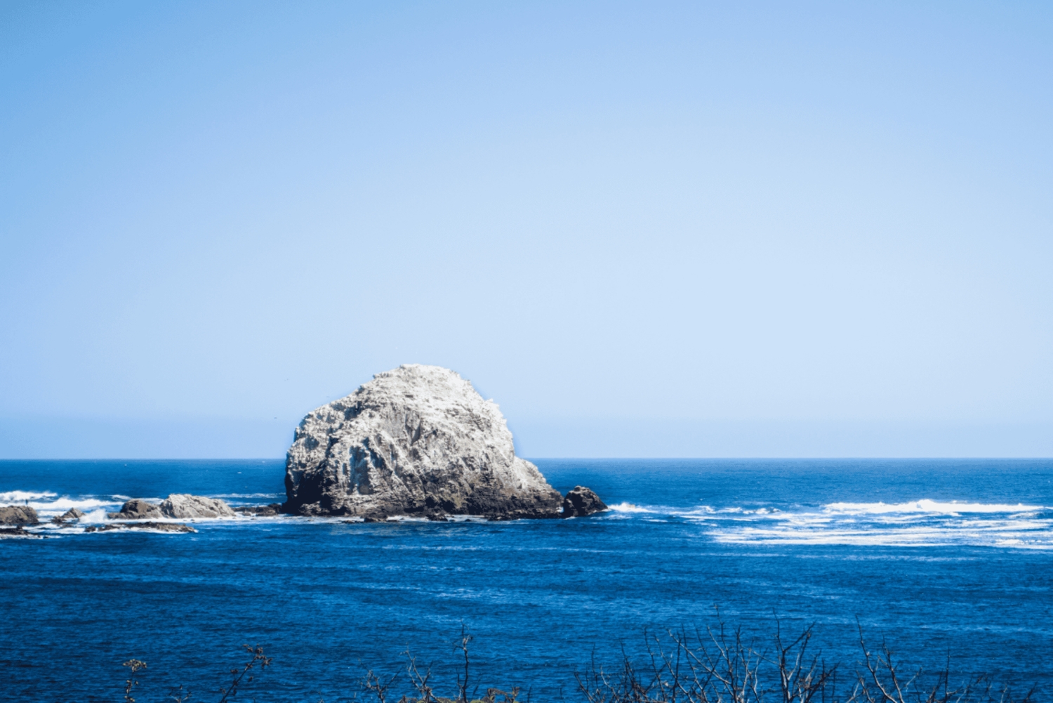 ЧЕРНЫЙ ОСТРОВ И РОЖКОВОЕ ДЕРЕВО С УНДУРРАГОЙ ВИНИКОЛОЙ - ТУР: ЧИЛИ