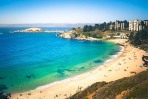 ЧЕРНЫЙ ОСТРОВ И РОЖКОВОЕ ДЕРЕВО С УНДУРРАГОЙ ВИНИКОЛОЙ - ТУР: ЧИЛИ