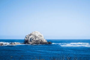 ЧЕРНЫЙ ОСТРОВ И РОЖКОВОЕ ДЕРЕВО С УНДУРРАГОЙ ВИНИКОЛОЙ - ТУР: ЧИЛИ
