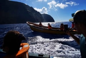 Islets boat tour: Half Day Private Tour