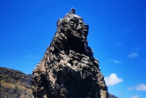 Islets boat tour: Half Day Private Tour