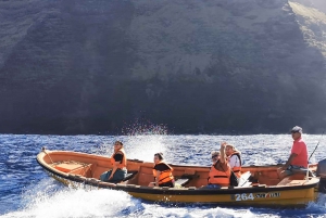 Islets boat tour: Half Day Private Tour