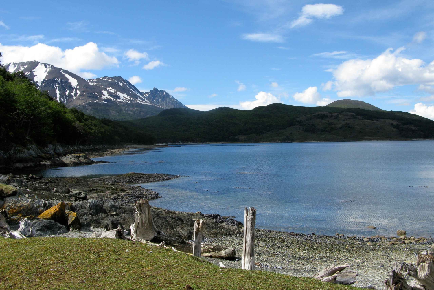 Koningspinguïn & Vuurland Tour