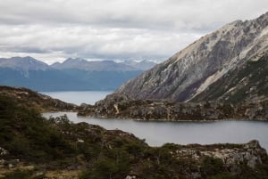 Kongepingvin og Tierra del Fuego-tur