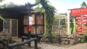 Best asian restaurants in Santiago de Chile