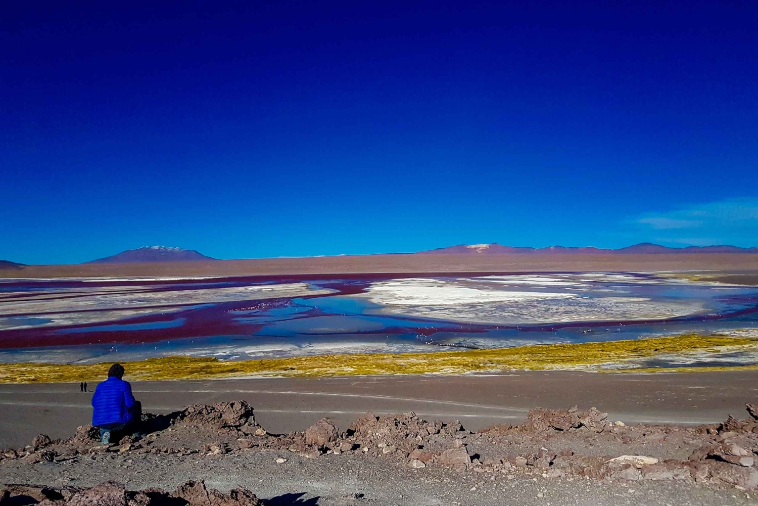 La Paz: Uyuni Salt Flats i Isla Incahuasi 5-dniowa wycieczka autobusowa