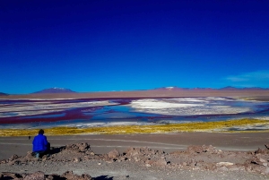 La Paz: Uyuni Salt Flats i Isla Incahuasi 5-dniowa wycieczka autobusowa