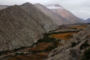 La Serena i dolina Elqui, początki chilijskiego wina i pisco