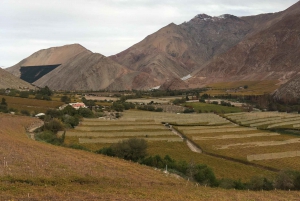 La Serena i dolina Elqui, początki chilijskiego wina i pisco