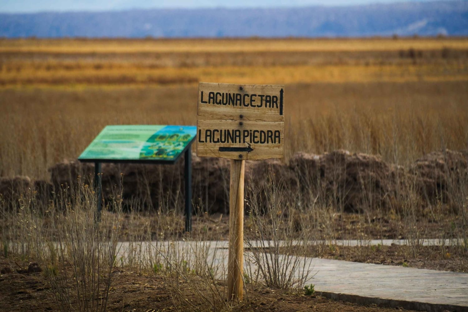 Laguna Cejar: Float in the most famous lagoons in Atacama!