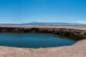 Laguna Cejar, Ojos del Salar y Laguna Tebinquinche