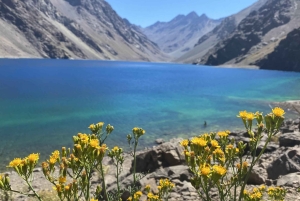 Лагуна-дель-Инка и ферма альпака или винодельня (частный трансфер)