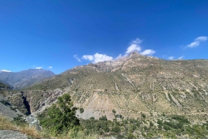 Лагуна-дель-Инка и ферма альпака или винодельня (частный трансфер)