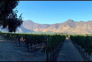 Лагуна-дель-Инка и ферма альпака или винодельня (частный трансфер)