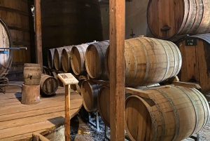 Лагуна-дель-Инка и ферма альпака или винодельня (частный трансфер)