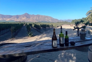 Лагуна-дель-Инка и ферма альпака или винодельня (частный трансфер)