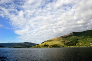 Lanalhue Lake