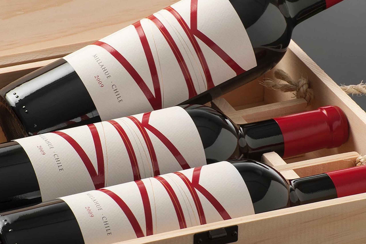 Ganztagestour zu den luxuriösen Weingütern in Colchagua