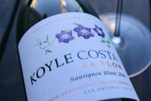 Excursão de 1 dia às vinícolas de luxo em Colchagua