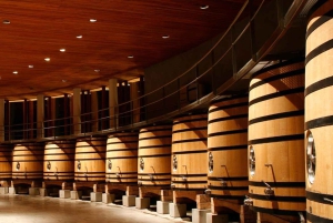 Ganztagestour zu den luxuriösen Weingütern in Colchagua