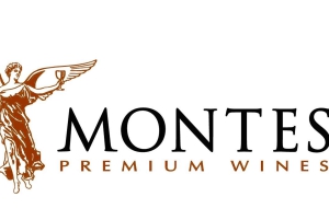 Ganztagestour zu den luxuriösen Weingütern in Colchagua