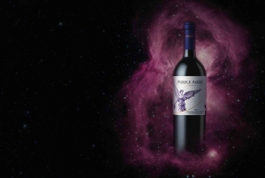 Ganztagestour zu den luxuriösen Weingütern in Colchagua