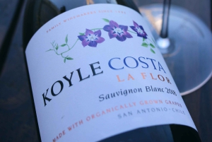 Ganztagestour zu den luxuriösen Weingütern in Colchagua