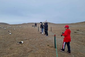 Magdalena Island: Walk with the penguins