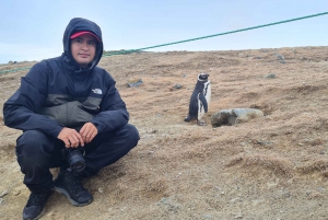 Magdalena Island: Walk with the penguins