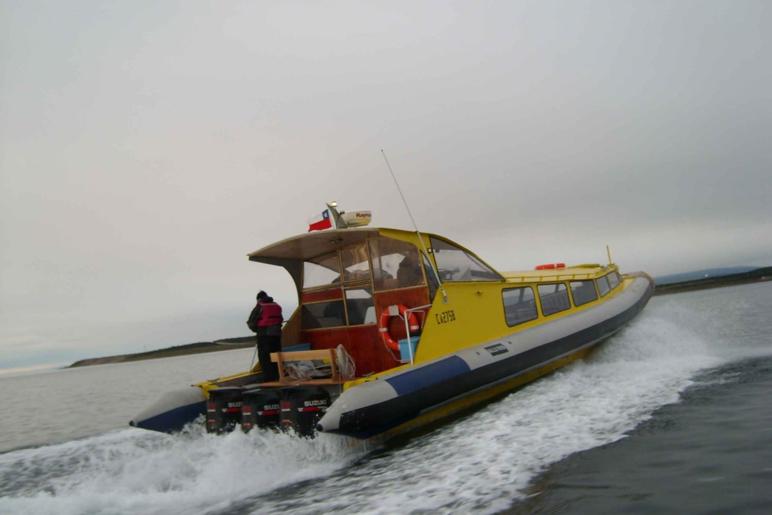 Tour a los Pingüinos de la Isla Magdalena en barco desde Punta Arenas