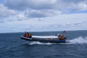 Wycieczka łodzią na wyspę pingwinów Magdalena z Punta Arenas