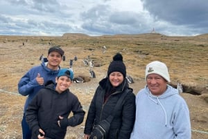 Ilha Magdalena: Passeia com os pinguins