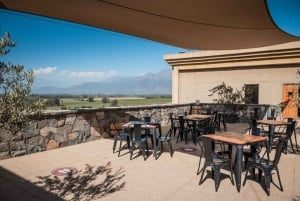 Private Wine Tour Maipo Valley and Andes Mountain