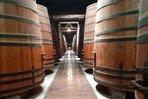 Maipo Valley: Private Full-Day Wine Tour