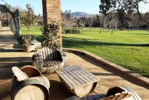 Maipo Valley: Private Full-Day Wine Tour