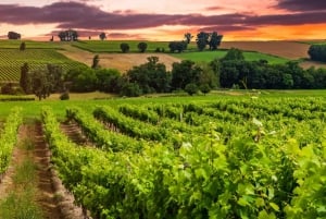 Maipodalen: Privat vinresa på en hel dag
