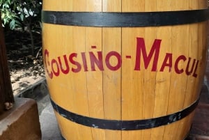 Vale do Maipo: Excursão particular de 1 dia ao vinho