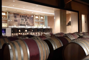 Vale do Maipo: Excursão particular de 1 dia ao vinho