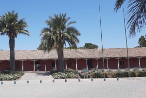 Vale do Maipo: Excursão particular de 1 dia ao vinho