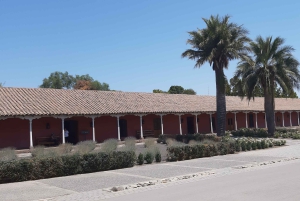 Vale do Maipo: Excursão particular de 1 dia ao vinho