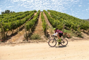 Vale do Maipo: Excursão particular de 1 dia ao vinho