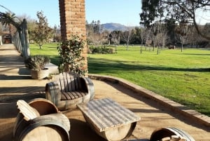 Vale do Maipo: Excursão particular de 1 dia ao vinho
