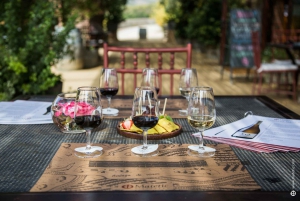 Vale do Maipo: Excursão particular de 1 dia ao vinho