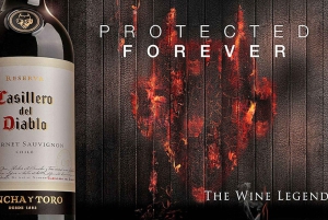 Vale do Maipo: Excursão particular de 1 dia ao vinho