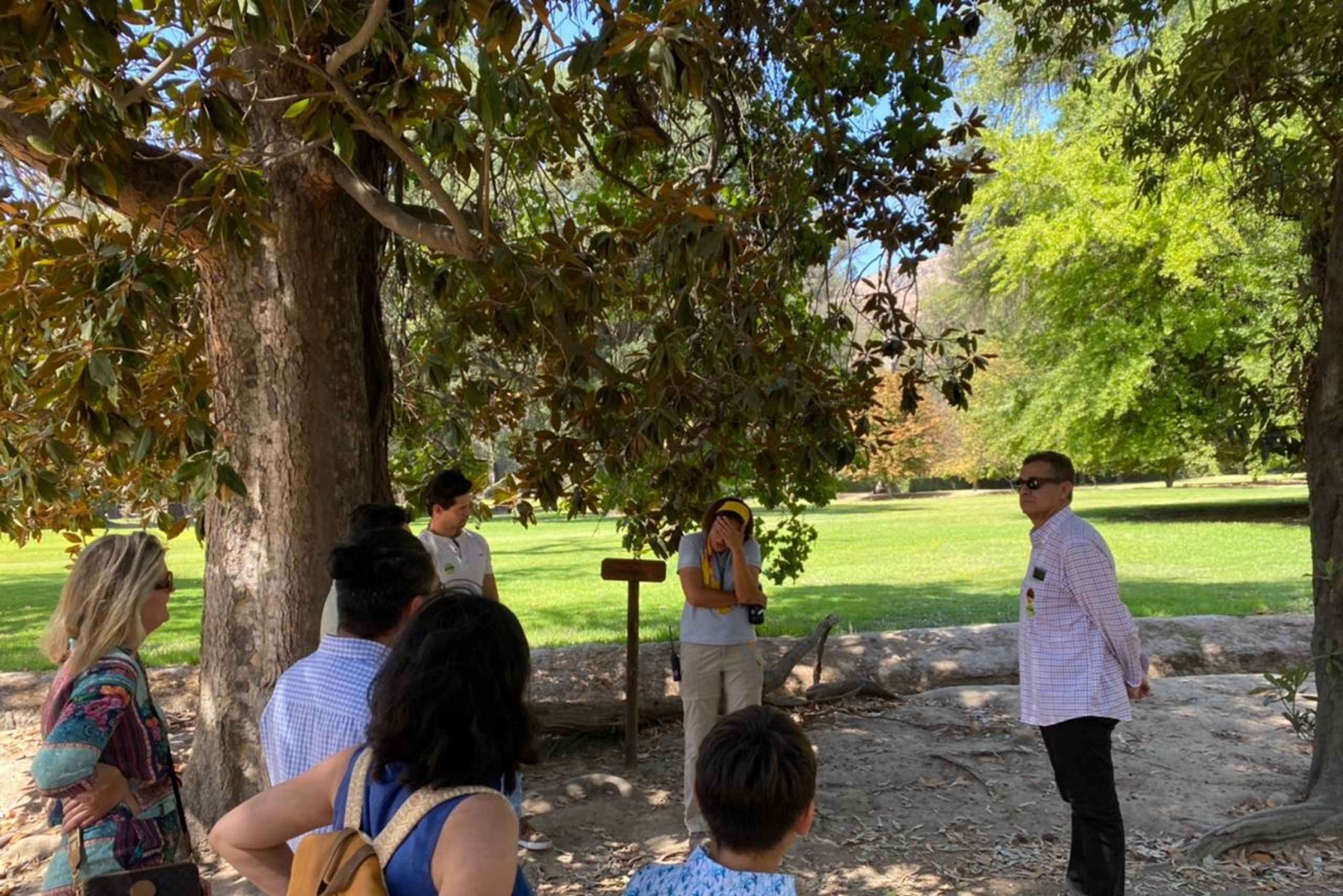 Maipo Valley: Private Wine Route Tour of Santa Rita and Alyan Vineyards + Dinner