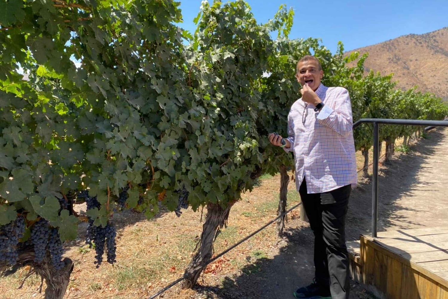 Maipo Valley: Private Wine Route Tour of Santa Rita and Alyan Vineyards + Dinner