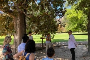 Maipo Valley: Private Wine Route Tour of Santa Rita and Alyan Vineyards + Dinner