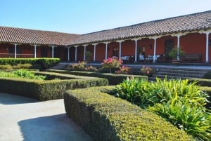 Maipo Valley: Private Wine Route Tour of Santa Rita and Alyan Vineyards + Dinner