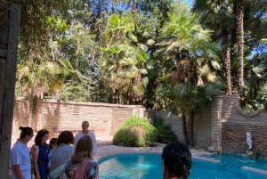 Maipo Valley: Private Wine Route Tour of Santa Rita and Alyan Vineyards + Dinner