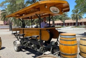 Maipo Valley: Private Wine Route Tour of Santa Rita and Alyan Vineyards + Dinner